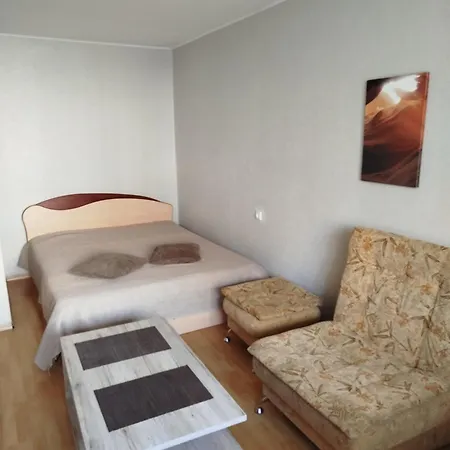 Apartament Vieno Kambario Butas *