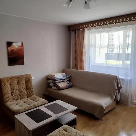 Vieno Kambario Butas Apartment *