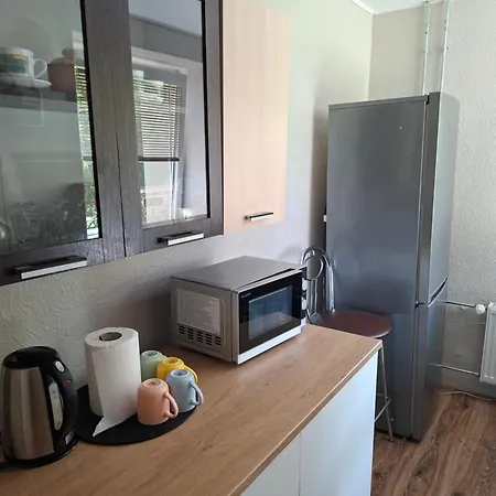 Vieno Kambario Butas Appartement