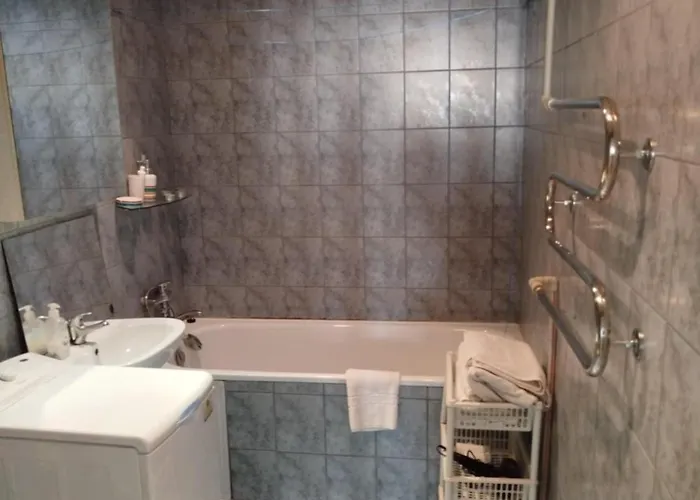 Vieno Kambario Butas Apartament *