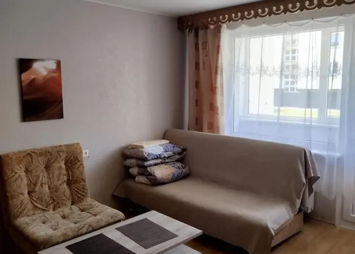 Vieno Kambario Butas Apartament *